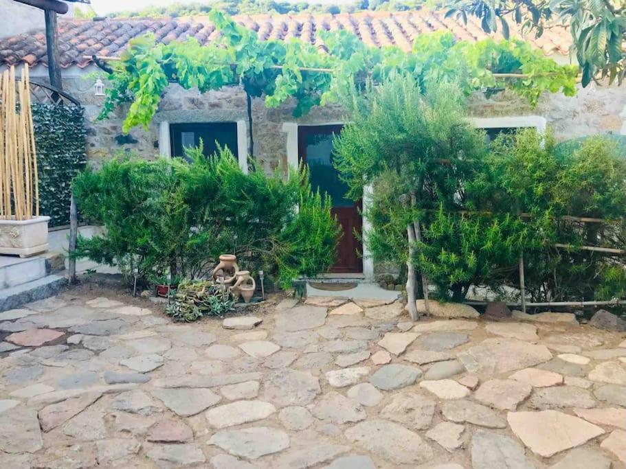 Appartamento Kelu e Terra - Locazione Turistica - IUN Q0467 Onifai Esterno foto