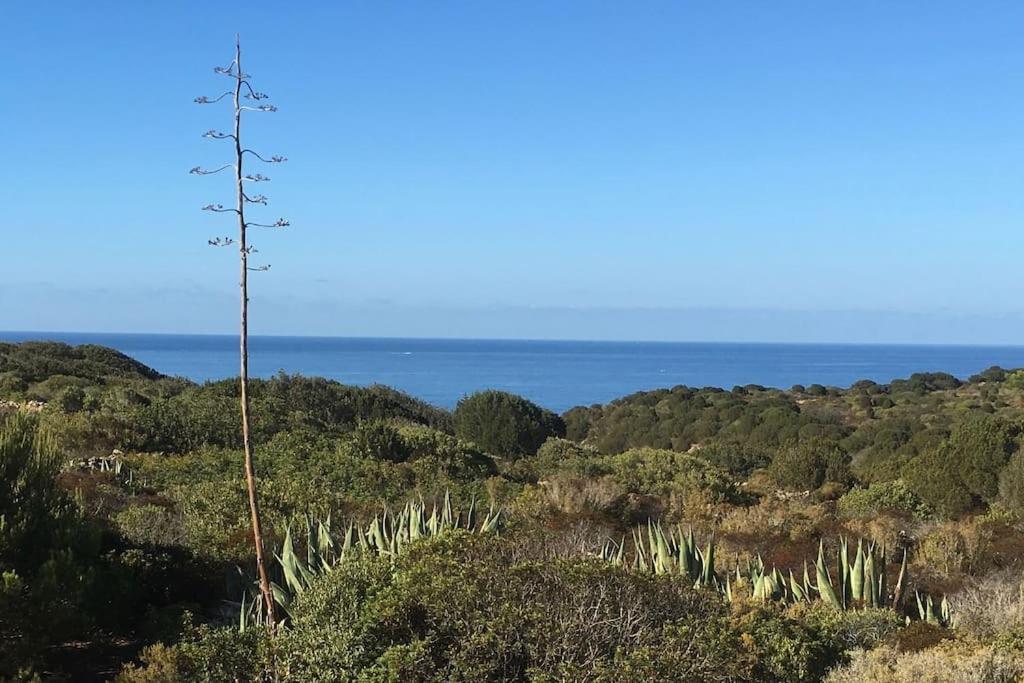Appartamento Kelu e Terra - Locazione Turistica - IUN Q0467 Onifai Esterno foto